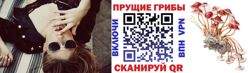 Псилоцибиновые грибы ЛСД  Купить закладки  Шимановск 